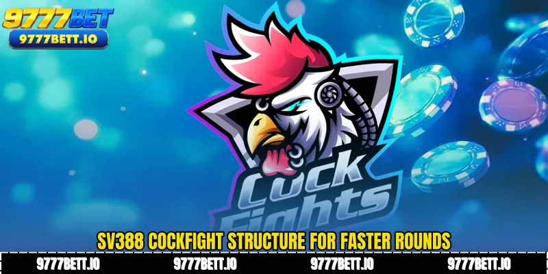 SV388 Cockfight structure for faster rounds